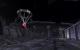 Fallout New Vegas (17)
