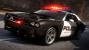 Need for Speed Hot Pursuit (29)