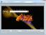Internet Explorer 9 Beta: Schon sechs Millionen Downloads