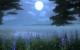 Two Worlds 2 (13)