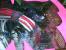 Project Pink: Die HTPC-Casemod mit der femininen Note (22)