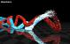 4K-PC-Intro Nucleophile von Portal Process, TBC (2008)