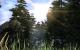 Two Worlds 2 (1)