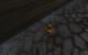 WoW Cataclysm: Bilder aus dem Worgen-Startgebiet (26)