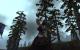 WoW Cataclysm: Bilder aus dem Worgen-Startgebiet (27)