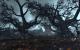 WoW Cataclysm: 13 Radeon- und Geforce-Grafikkarten im Benchmark-Test (5)