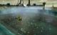 WoW: Cataclysm mit SGSSAA + DX11 (14)