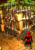 Screenshots aus Dungeons (24)