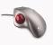 Logitech Trackman Wheel