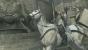 Assassin's Creed Brotherhood (14)