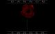 Cannon Fodder Atari ST Men 1994