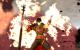 Dragon Age 2 (3)