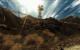 Fallout: New Vegas: Kompatibel, 88,5 Fps (Win 8)/91,4 Fps (Win7)