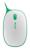 Express Mouse: Microsofts preisgünstiger Blue-Track-Nager (9)