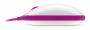 Express Mouse: Microsofts preisgünstiger Blue-Track-Nager (12)