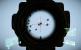 Crysis 2 Flops: Zweidimensionaler Vogelschwarm