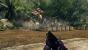 In Crysis gehen Sachen kaputt, weil sie eben kaputt gehen können