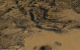 Crysis bietet hochauflösende Texturen samt Parallax Occlusion Mapping