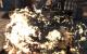 Dragon Age 2 Top: Feuereffekte