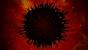 8,4 - Insanely Twisted Shadow Planet 