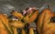 Dragon Age 2 Flop: Textur-LOD versagt Reloaed