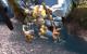 Platz2:Half-Life 2-150Stimmen;29.35%
