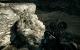 Crysis 2 mit Patch 1.9: DirectX 9 gegen DirectX 11 im Detail (9)