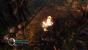 Dungeon Siege 3 (35)