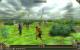 Vollversion in PCGH 08-2011: Elven Legacy Collection (inkl. DLC Mage, Siege & Ranger) im Wert von 13,99 Euro. (3)