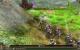 Vollversion in PCGH 08-2011: Elven Legacy Collection (inkl. DLC Mage, Siege & Ranger) im Wert von 13,99 Euro. (6)