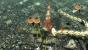 Platz 43 0 Day Attack on Earth Gulti Square Enix 2009 Ingame