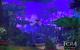 Tera: The Exiled Realm of Arborea - das Fantasy-MMO mit der Unreal Engine 3 (8)