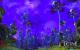 Tera: The Exiled Realm of Arborea - das Fantasy-MMO mit der Unreal Engine 3 (10)