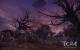 Tera: The Exiled Realm of Arborea - das Fantasy-MMO mit der Unreal Engine 3 (23)