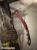 Tomb Raider im Hands-on-Test (24)
