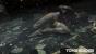 Tomb Raider im Hands-on-Test (10)