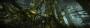 The Witcher 2 ohne HUD und im Surround-Format (6)