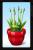 <strong>6. Virtueller Blumentopf:</strong> Mit "Virtueller Blumentopf" verschönern Sie Ihren Desktop mit einer Zimmerpflanze und Sie können ihr nett animiert beim Blühen beobachten. (1.049.728) - <strong><a class="posRel pe-4" href="http://gallery.live.com/liveItemDetail.aspx?li=dbd06209-d662-494e-86ab-b96fc7b34233&bt=1&pl=1" target="_blank" rel="noopener " >Download<span class="icon extLinkIcon posAbs"></span></a></strong>
