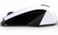 Asus WX: Lamborghini-Maus bei den ersten Händlern angekommen (1)