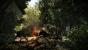 Crysis 2 by Jay.Gee (14)