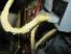Casemod der anderen Art: Quick 'n' Dirty Kreppband-Casemod (38)