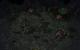 Starcraft 2 Heart of the Swarm im Hands-on-Test auf der Gamescom (5)