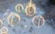 Starcraft 2 Heart of the Swarm im Hands-on-Test auf der Gamescom (20)