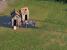 Tropico 4 Downsampling 01