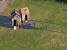 Tropico 4 Downsampling 02