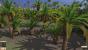 Tropico 4: Das Land der Diktatoren in 3.840 x 2.160 Pixeln (1)