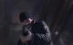 Captain Price ist Call of Duty-Veteranen mehr als vertraut. Das letzte Mal haben Sie ihn in Modern Warfare 2 aus dem Gulag befreit.
