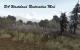Mods für Fallout 3 - Vor kurzem wurde der Restoration-Mod auf unserer Webseite ausführlich vorgestellt. Er lässt fruchtbare Wälder wachsen, wo Sie vorher nur Wüste sehen konnten. <a class="posRel pe-4" href="http://www.fallout3nexus.com/downloads/file.php?id=16703" target="_blank" rel="noopener " >Download<span class="icon extLinkIcon posAbs"></span></a>
