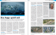 PCGH 11/2011 (9)