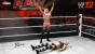 2011: WWE 12
